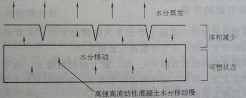 大港澳免费资科大全